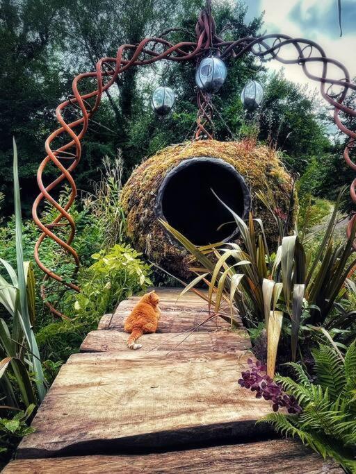 Truck & Pod Creative Nature Retreat. Bantry Exterior foto